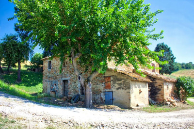 Casa colonica da ristrutturare, vista mare e Castello di Gradara, Marche