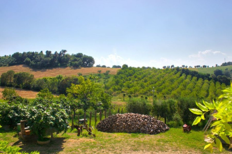 Casa colonica da ristrutturare, vista mare e Castello di Gradara, Marche