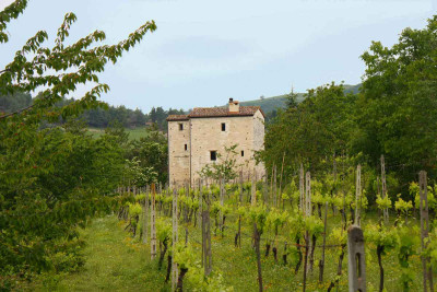 ***VENDUTA*** Torre Medievale