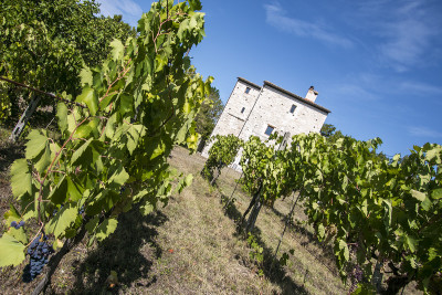 ***VENDUTA*** Torre Medievale