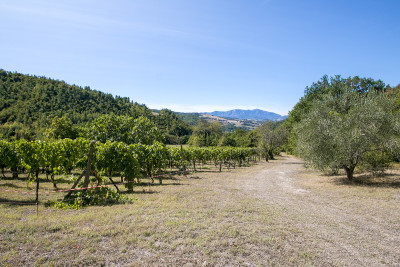 ***VENDUTA*** Torre Medievale