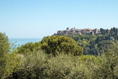 PREZZO RIBASSATO. Grande casale con 4 appartamenti e 2 annessi in vendita Torre di Palme, Marche