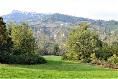 Forte riduzione di prezzo. Casale con 5 appartamenti