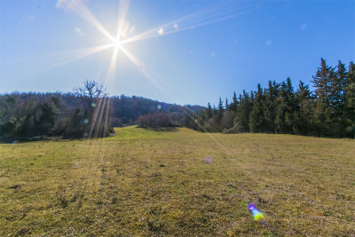 Forte riduzione di prezzo. Casale con 5 appartamenti