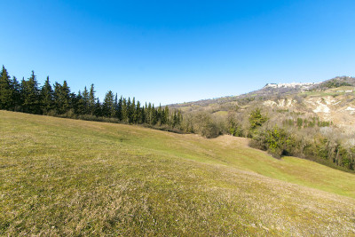 Forte riduzione di prezzo. Casale con 5 appartamenti
