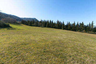 Forte riduzione di prezzo. Casale con 5 appartamenti