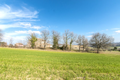 Casale Falerone da ristrutturare in vendita nelle Marche