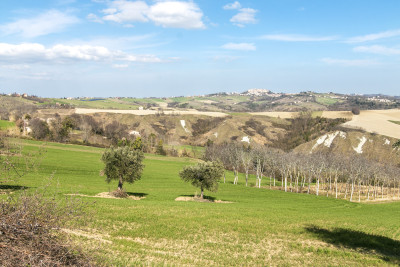 Casale Falerone da ristrutturare in vendita nelle Marche