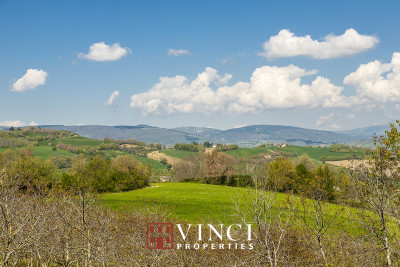 PREZZO RIBASSATO. Casale Italo