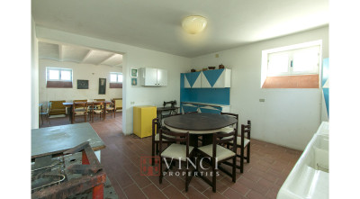 Prezzo ribassato. Casale Roberto con 6,5 ettari di terreno e alberi di ulivo