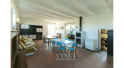 Prezzo ribassato. Casale Roberto con 6,5 ettari di terreno e alberi di ulivo