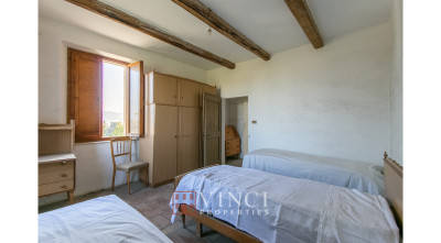 Prezzo ribassato. Casale Roberto con 6,5 ettari di terreno e alberi di ulivo