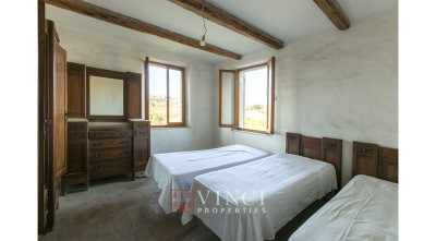 Prezzo ribassato. Casale Roberto con 6,5 ettari di terreno e alberi di ulivo