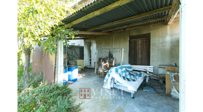 Prezzo ribassato. Casale Roberto con 6,5 ettari di terreno e alberi di ulivo