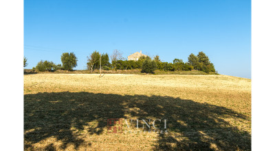 Prezzo ribassato. Casale Roberto con 6,5 ettari di terreno e alberi di ulivo