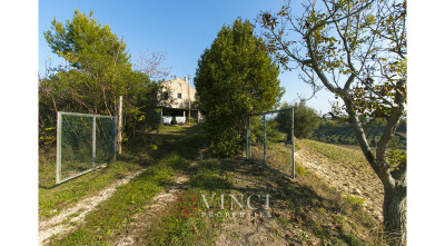 Prezzo ribassato. Casale Roberto con 6,5 ettari di terreno e alberi di ulivo