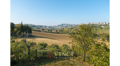 Prezzo ribassato. Casale Roberto con 6,5 ettari di terreno e alberi di ulivo