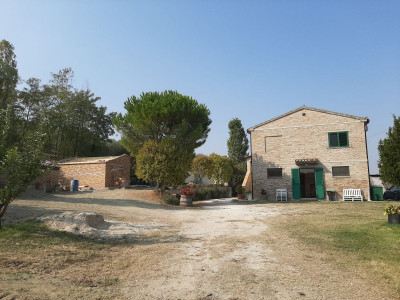 Casale abitabile con 4.5 ha di terreno con uliveto biologico certificato