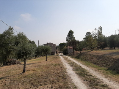 Casale abitabile con 4.5 ha di terreno con uliveto biologico certificato