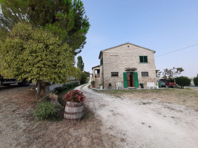 Casale abitabile con 4.5 ha di terreno con uliveto biologico certificato