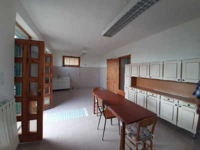 Casale abitabile con 4.5 ha di terreno con uliveto biologico certificato