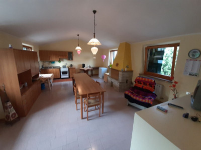 Casale abitabile con 4.5 ha di terreno con uliveto biologico certificato