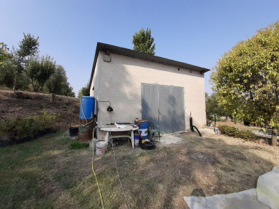 Casale abitabile con 4.5 ha di terreno con uliveto biologico certificato