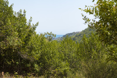 ***VENDUTO*** Convento XI secolo