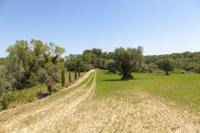 ***VENDUTO*** Convento XI secolo