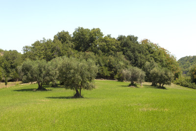 ***VENDUTO*** Convento XI secolo