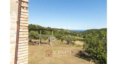 ***VENDUTO RUSTICO NELLE MARCHE ALTIDONA***