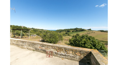 ***VENDUTO RUSTICO NELLE MARCHE ALTIDONA***