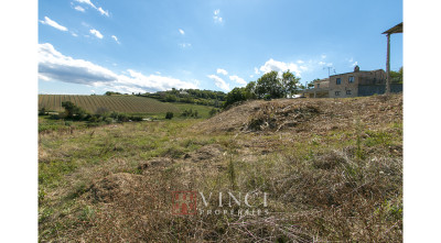 ***VENDUTO RUSTICO NELLE MARCHE ALTIDONA***