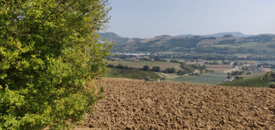 ***VENDUTO*** RUSTICO DA RISTRUTTURARE VISTA MARE NELLE MARCHE