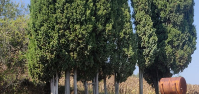 ***VENDUTO*** RUSTICO DA RISTRUTTURARE VISTA MARE NELLE MARCHE