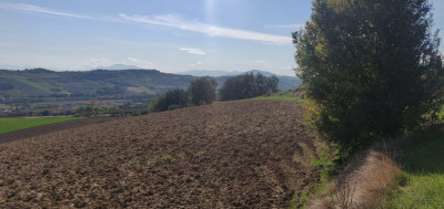 ***VENDUTO*** RUSTICO DA RISTRUTTURARE VISTA MARE NELLE MARCHE