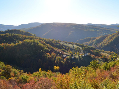 Casale Sant'Agata - Porzione