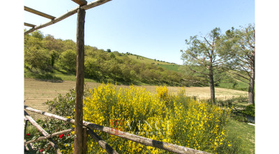 ***VENDUTO - Casolare venduto a Fermo, Marche***