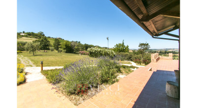 ***VENDUTA*** MONTERUBBIANO