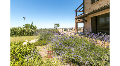 ***VENDUTA*** MONTERUBBIANO