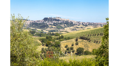 ***VENDUTA*** MONTERUBBIANO