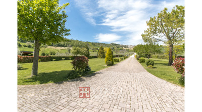 ***VENDUTO*** Casali Montegiorgio