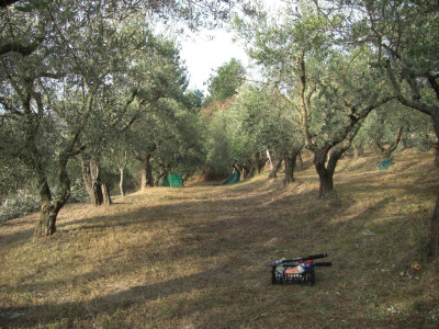 ***VENDUTA*** Casale Sibilla