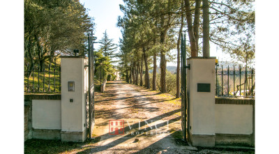 ***VENDUTA*** Casale Sibilla