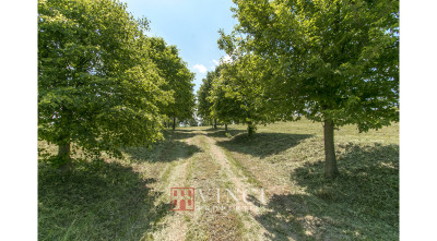 ***VENDUTO*** Casale San Biagio