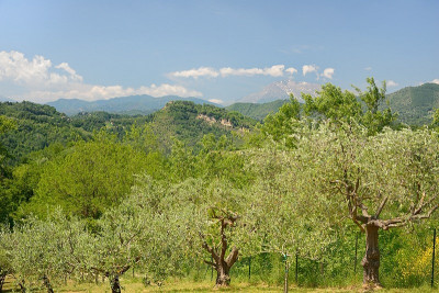 Casale perfettamente ristrutturato