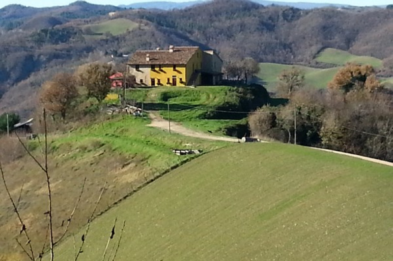 Casale/struttura ricettiva ristrutturato