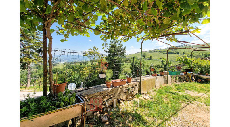 La vista su Montefeltro