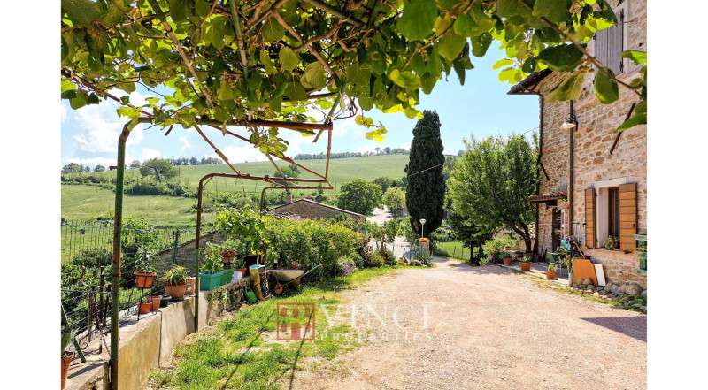 La vista su Montefeltro