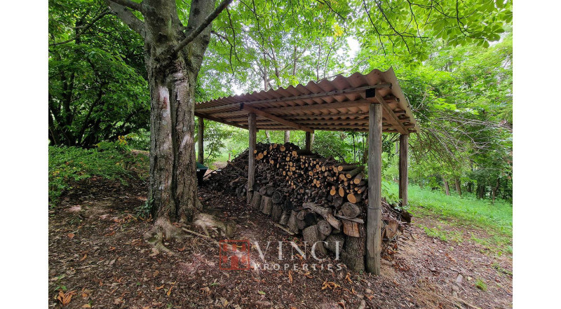 ***IN TRATTATIVA*** 7 camini